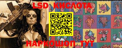 ешки Бердск